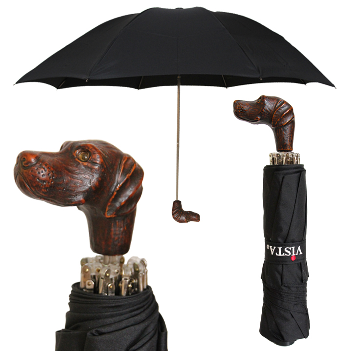 best umbrella cane