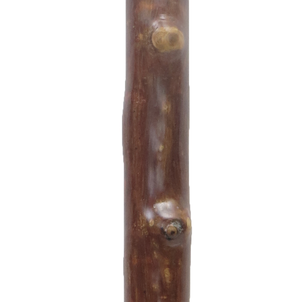 20701 Deluxe One Piece Rattan Wood Stick with Bark