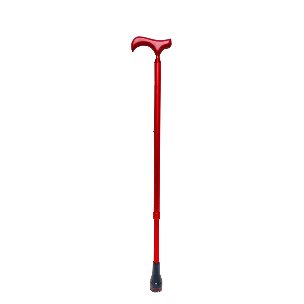 20866 All Terrain Telescopic Stick with Anti-Shock System - Click Image to Close